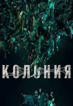 Колония 2026